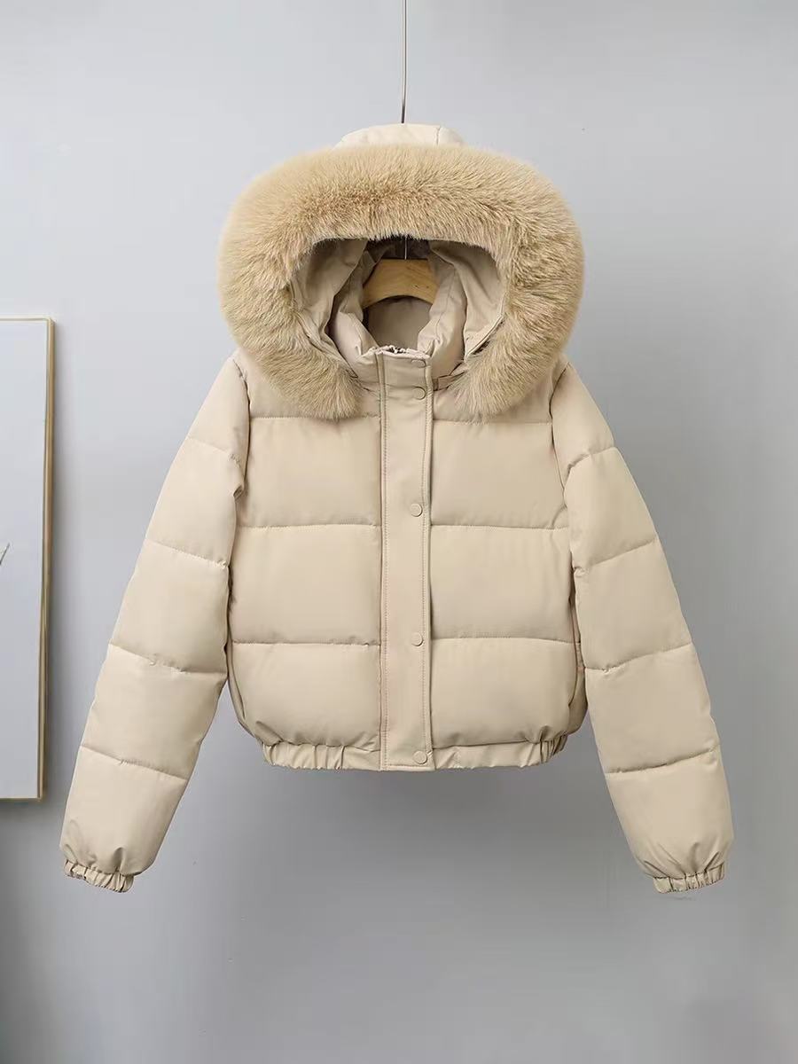 T588-737  Winter women's coat with fur collar for warmth