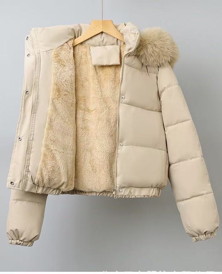 T588-737  Winter women's coat with fur collar for warmth
